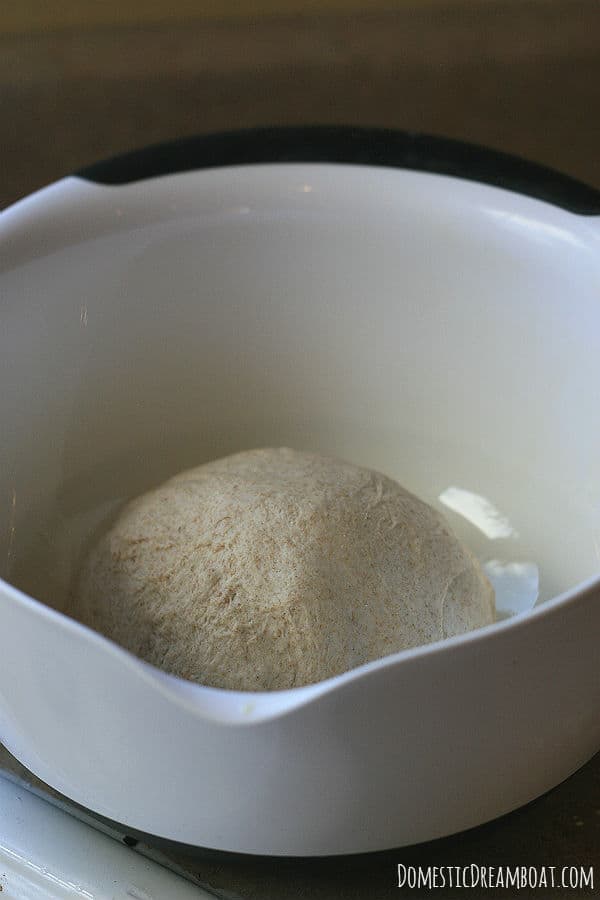Dough ball before rising