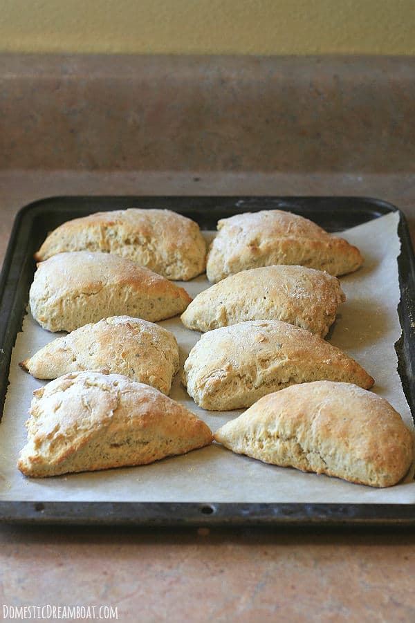 Whole wheat lemon and rosemary scones on a baking sheet.