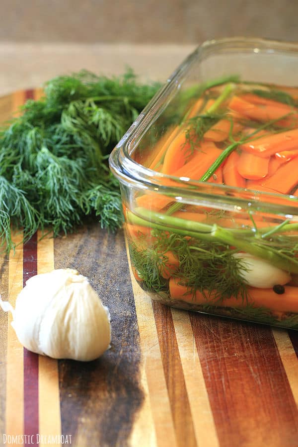 Dill Pickled Carrots in a glass food storage container.