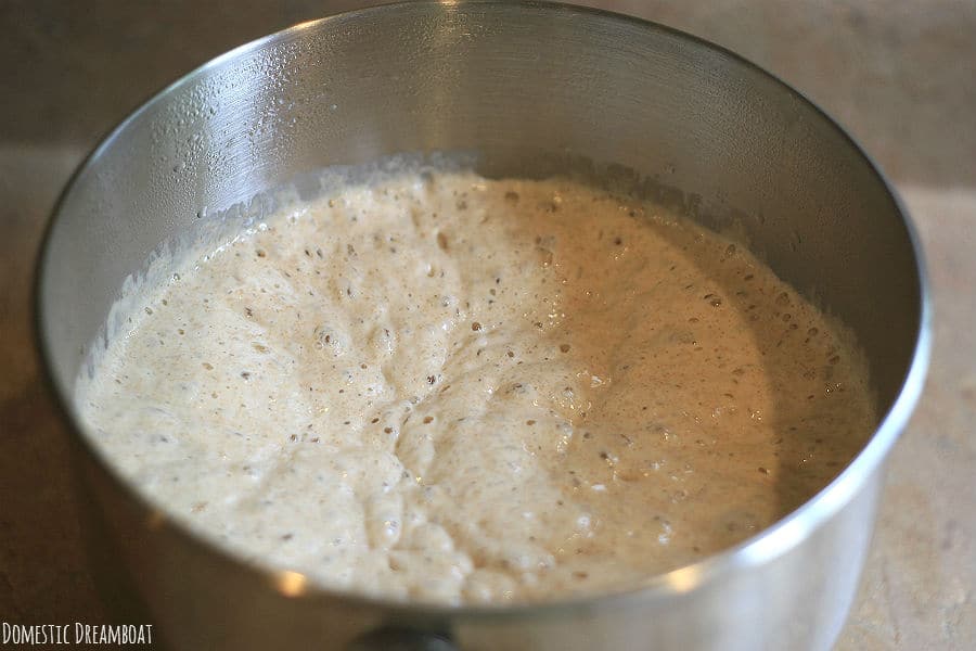 Whole wheat crumpet batter after rising.