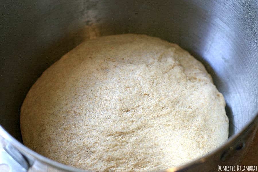 Rised pita dough