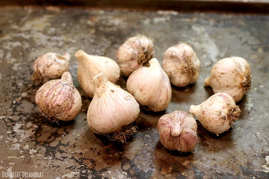 Trimmed garlic