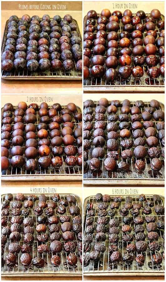 How to Dry Prunes