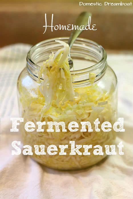 Sauerkraut 3 with text
