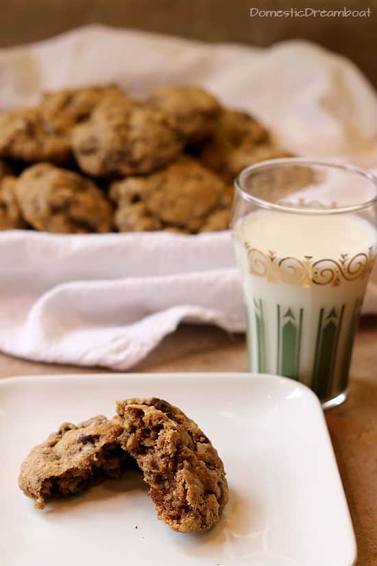 Oatmeal Chocolate Chip Nursing Cookies