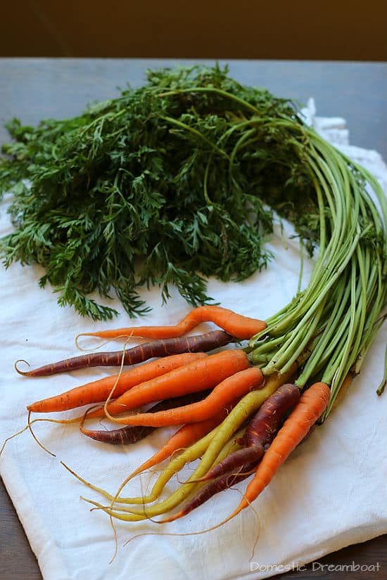 Carrot Top Pesto - A delicious and easy way to make use of your farmers market carrot tops