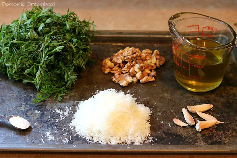 The ingredients to make carrot top pesto - carrot tops, walnuts, olive oil, Parmesan, salt, and garlic.