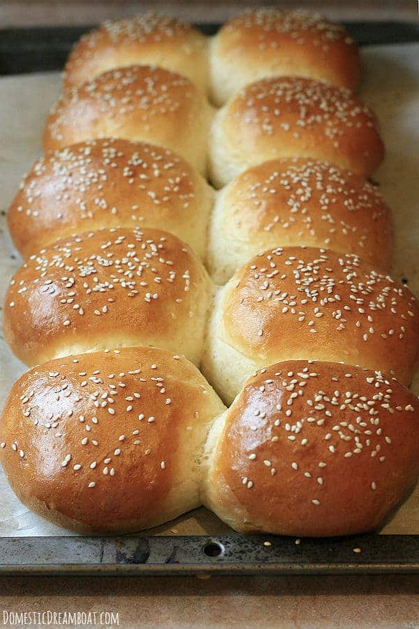 Baked hamburger buns on tray