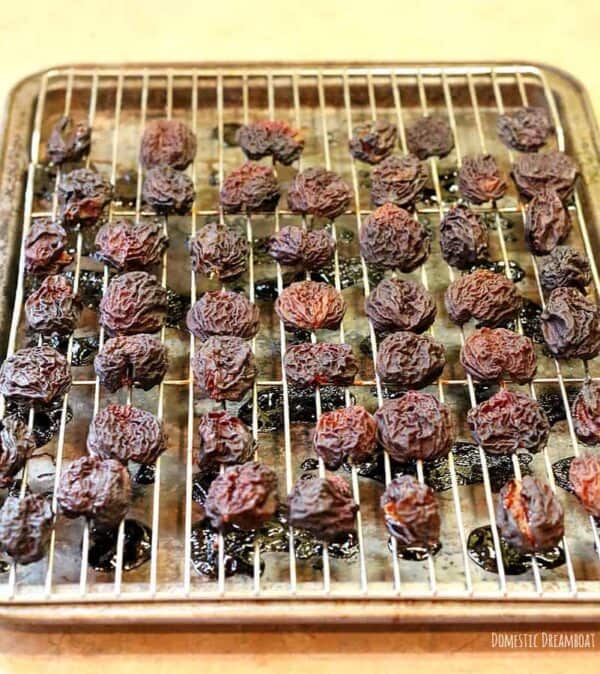 How to Make Dried Fruit without a Food Dehydrator