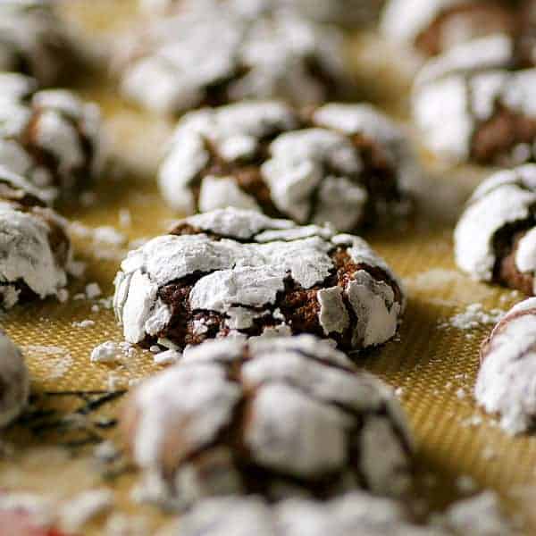 Closeup photo of Chocolate Crinkle Cookies