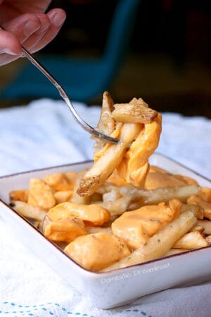 Traditional Canadian Poutine On Fork