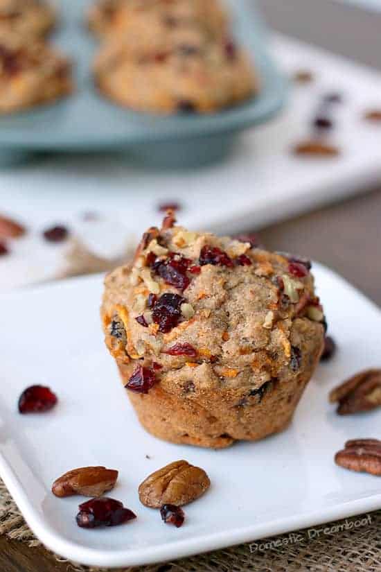 Cranberry Muffin on a plate