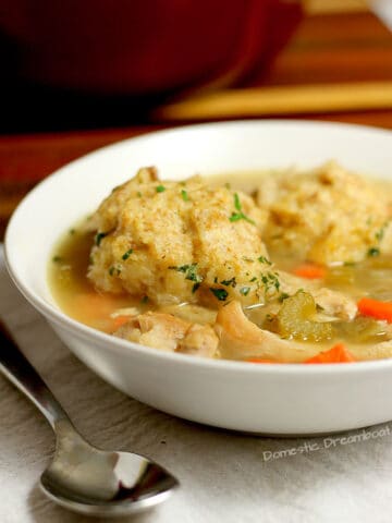 Chicken and Dumplings in a bowl