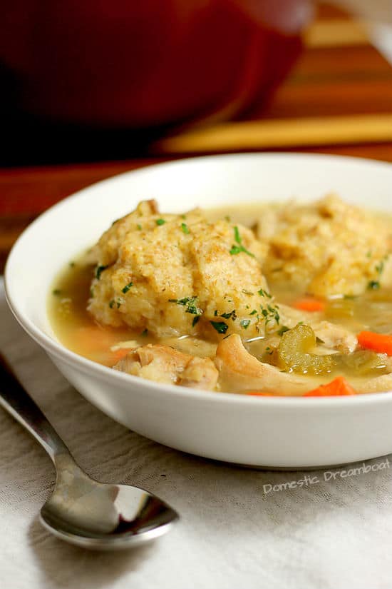 Chicken and Dumplings in a bowl