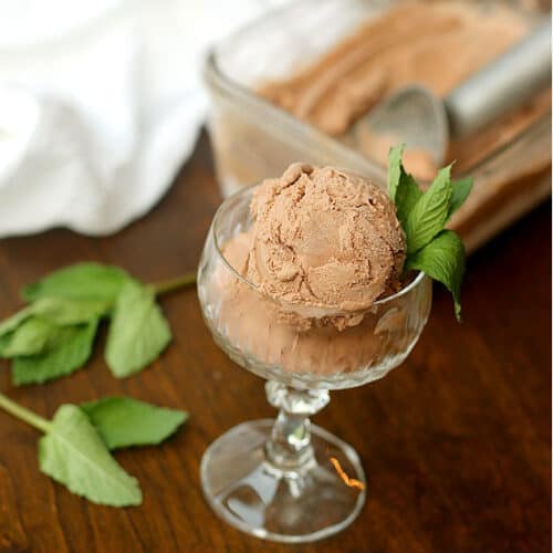 Chocolate Coconut Ice Cream 45 degree cropped