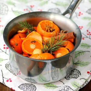 Holiday Stove Top Simmer Potpourri