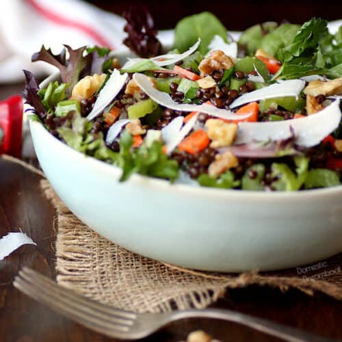 Black Lentil Salad closeup cropped