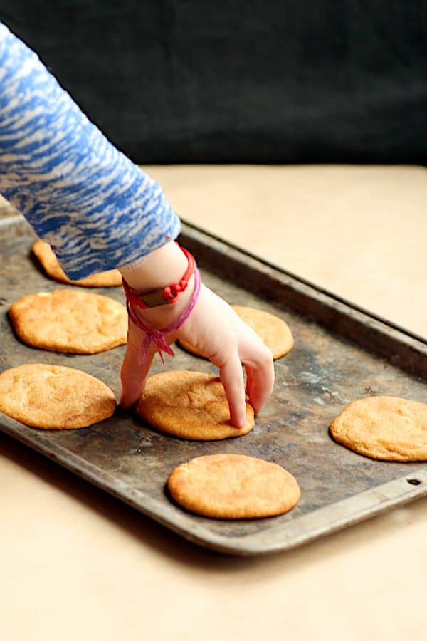 A hand grabbing a browned butter snickerdoodles cookie from a baking sheet.