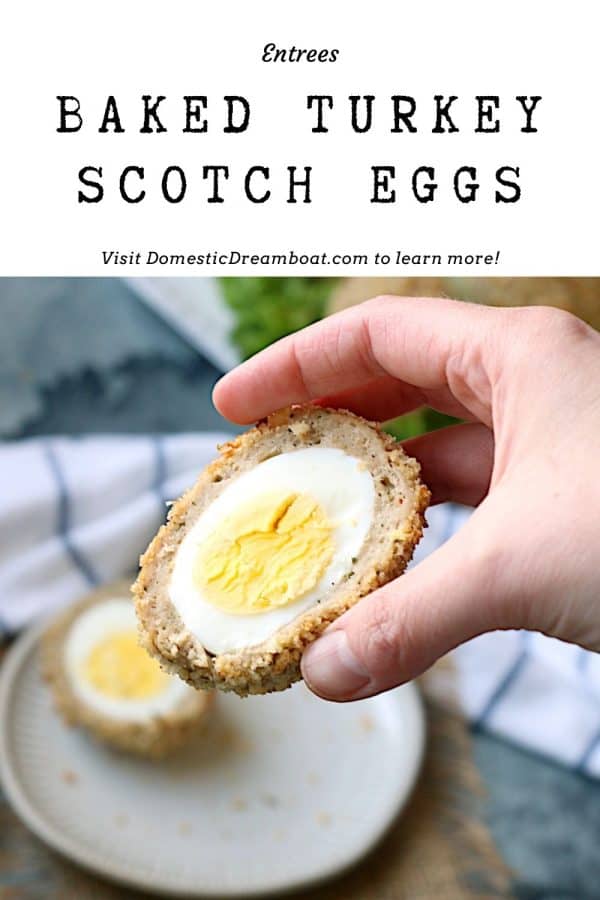 Scotch eggs
