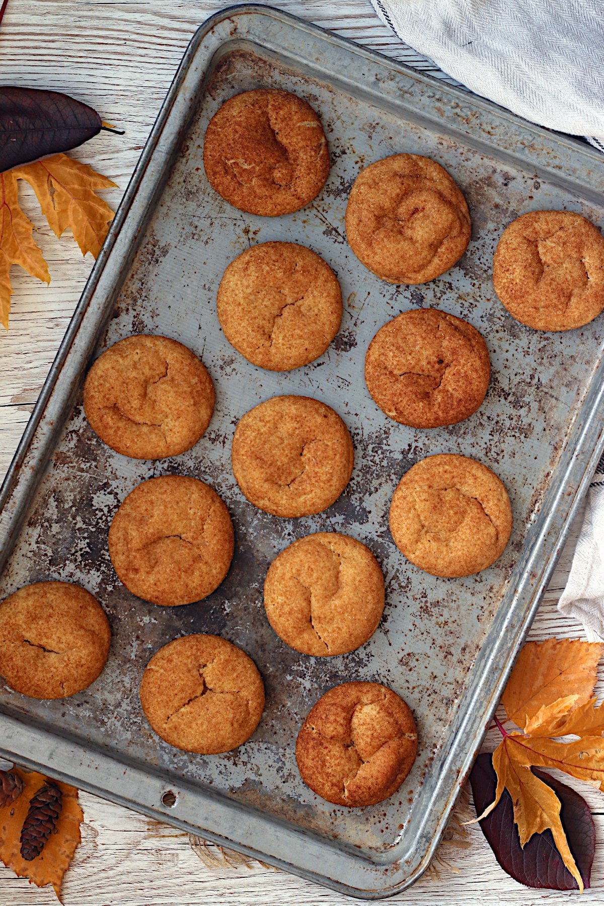 Overhead photo of Pumpkin Spice Snickerdoodles cookies on a baking sheet.