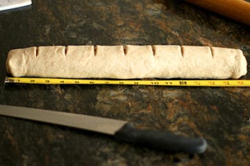 Cylinder of dough to make sticky buns scored before cutting.