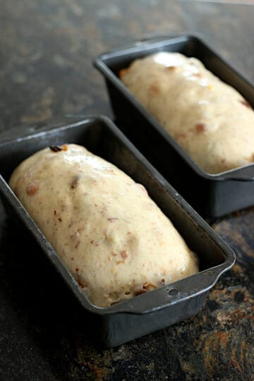 Apricot Raisin Bread Dough in two loaf pans before baking.