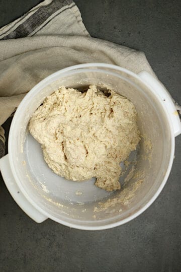 Sourdough in a food storage container, immediately after mixing.