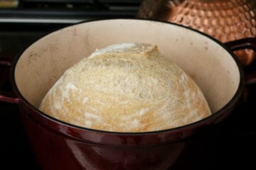 A partially baked loaf of sourdough bread in a Dutch oven.
