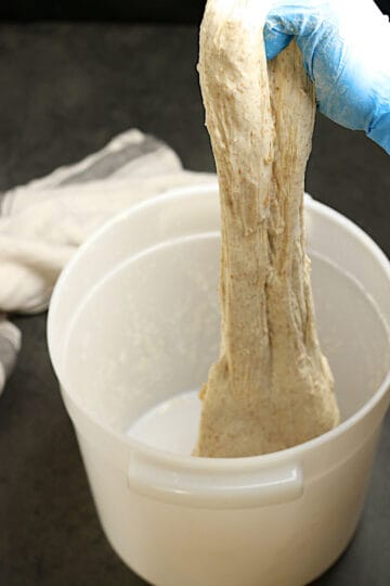 A gloved hand stretching sourdough from a food storage container.