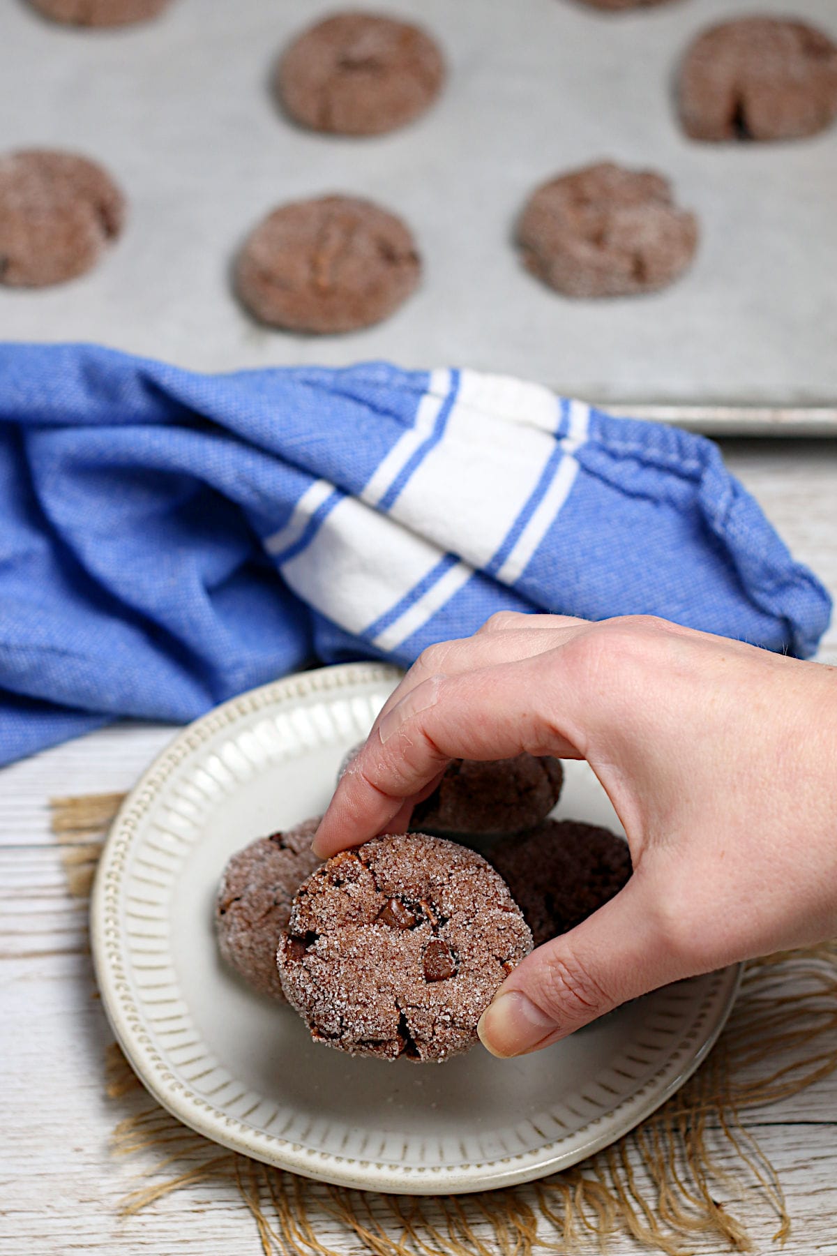 A hand holding a Vegan Double Chocolate Cookie.