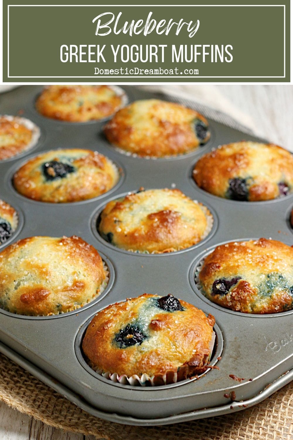 Blueberry Greek Yogurt Muffins Blueberry Greek Yogurt Muffins